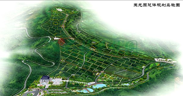 AG真人国际(中国)官方网站