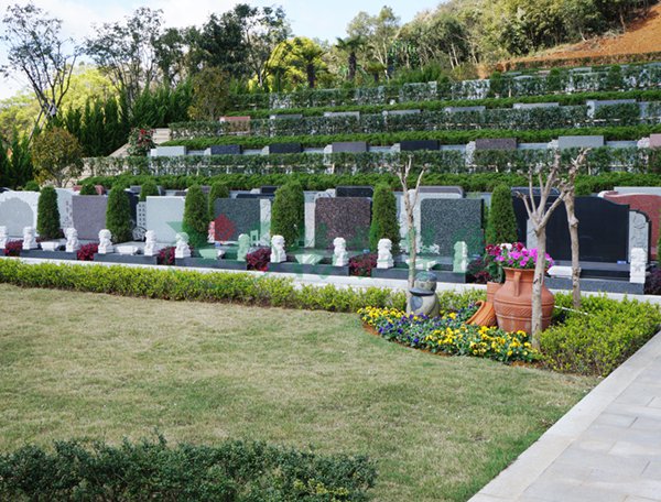 AG真人国际(中国)官方网站