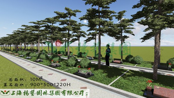 AG真人国际(中国)官方网站