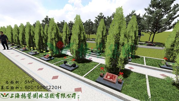 AG真人国际(中国)官方网站