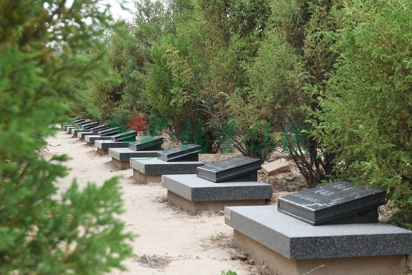 AG真人国际(中国)官方网站