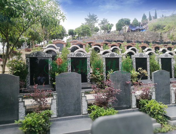 AG真人国际(中国)官方网站