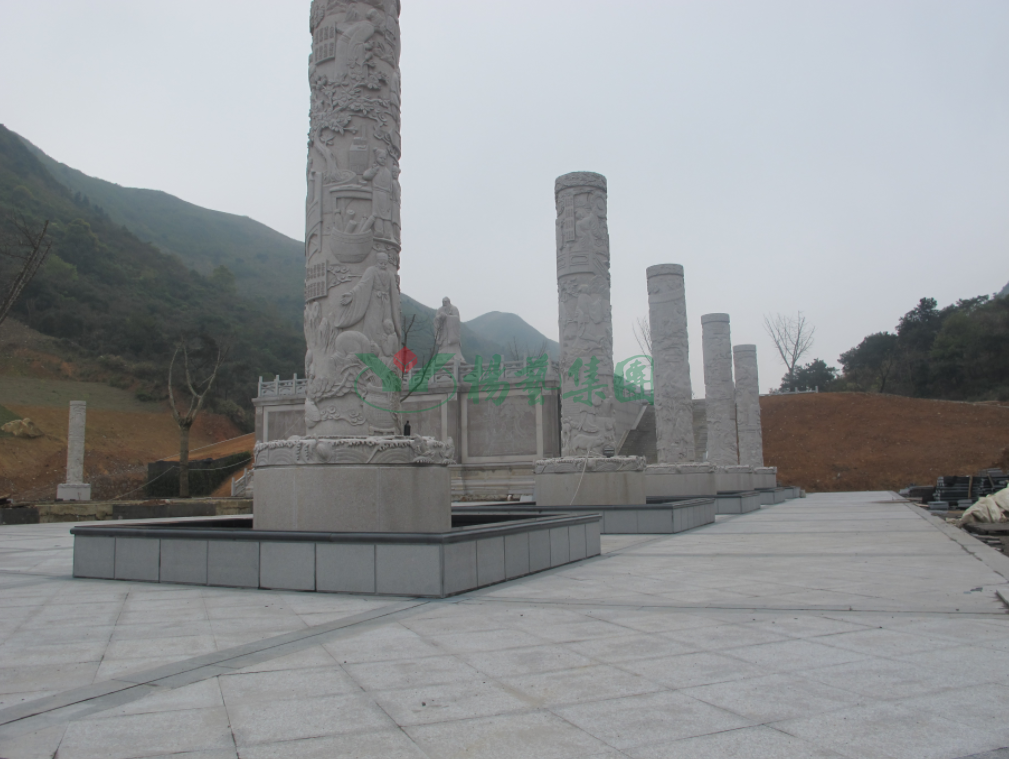 AG真人国际(中国)官方网站