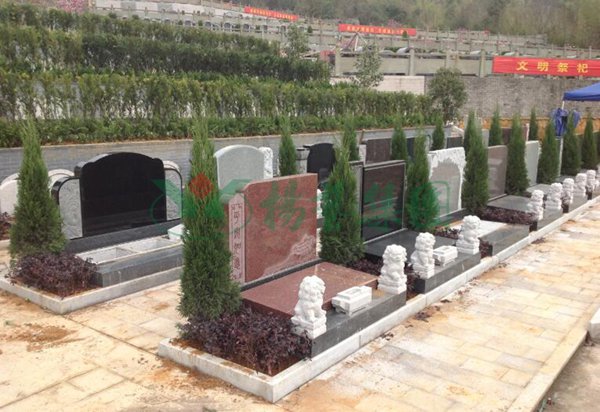 AG真人国际(中国)官方网站