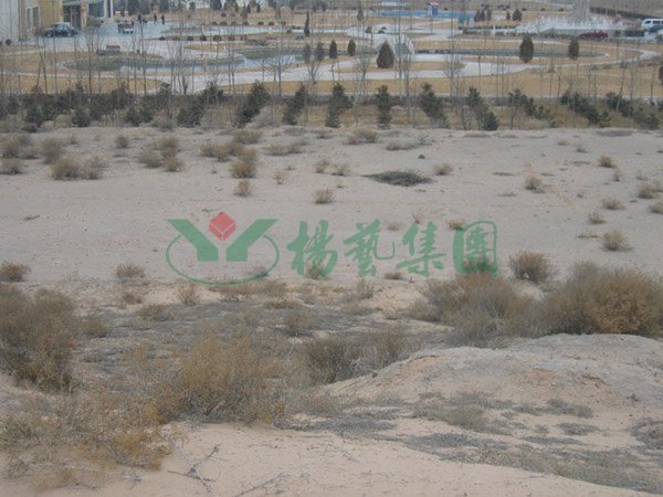 AG真人国际(中国)官方网站