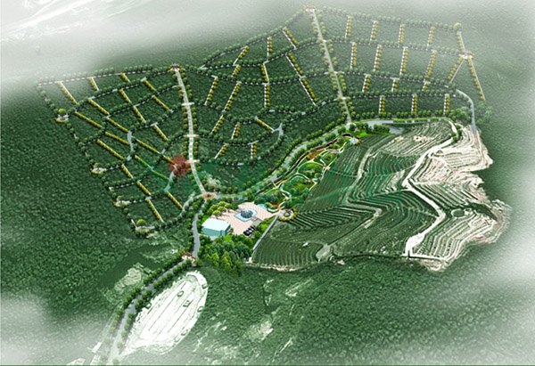 AG真人国际(中国)官方网站