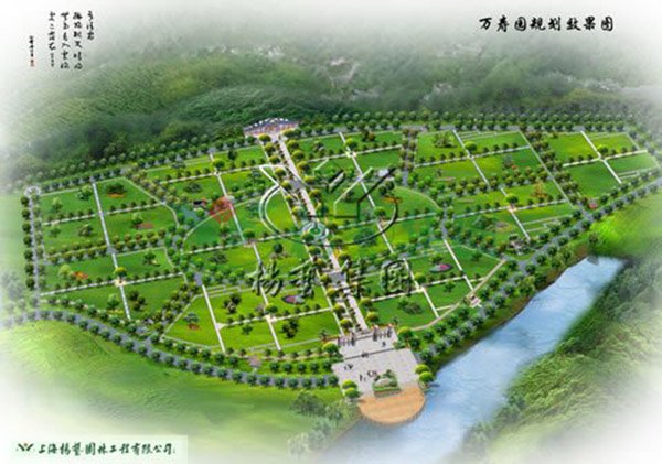 AG真人国际(中国)官方网站