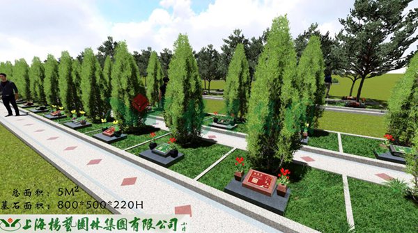 AG真人国际(中国)官方网站