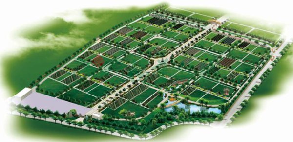 AG真人国际(中国)官方网站