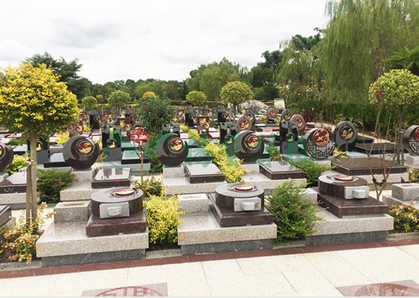 AG真人国际(中国)官方网站