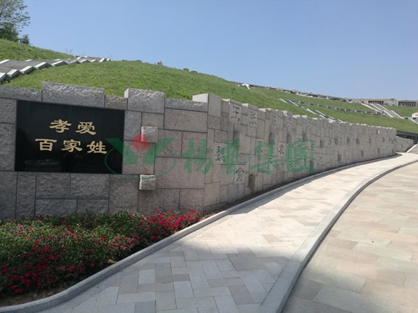 AG真人国际(中国)官方网站