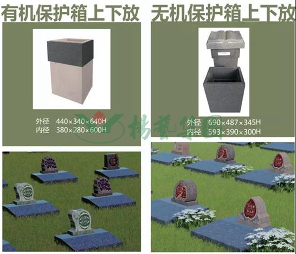 AG真人国际(中国)官方网站