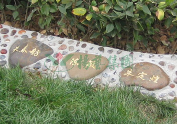 AG真人国际(中国)官方网站