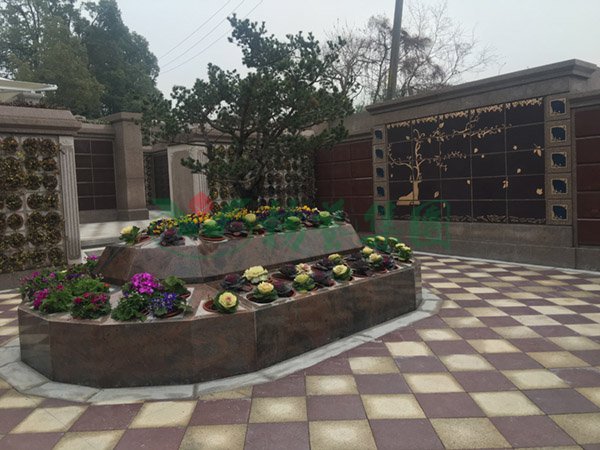 AG真人国际(中国)官方网站