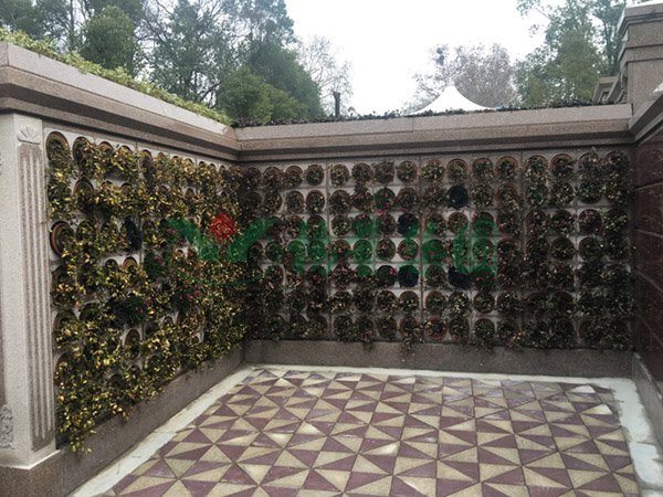 AG真人国际(中国)官方网站