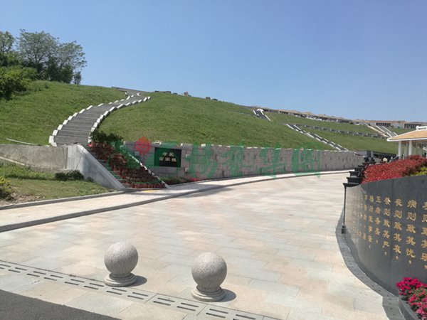 AG真人国际(中国)官方网站