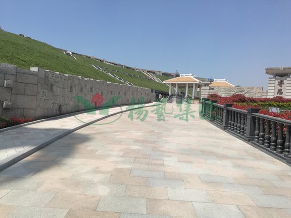 AG真人国际(中国)官方网站