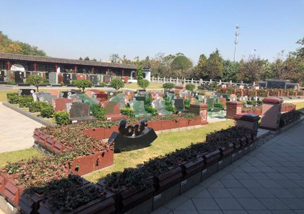 AG真人国际(中国)官方网站