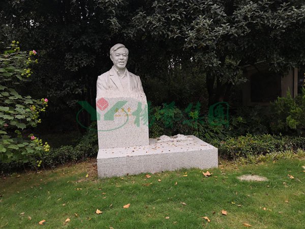 AG真人国际(中国)官方网站