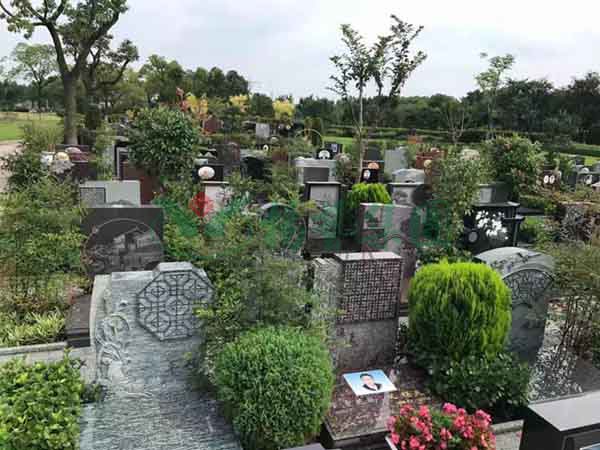 AG真人国际(中国)官方网站