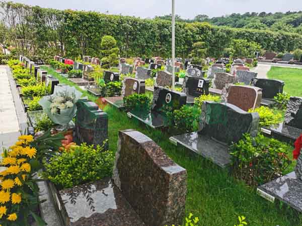 AG真人国际(中国)官方网站