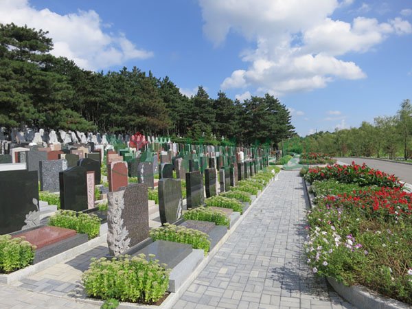 AG真人国际(中国)官方网站