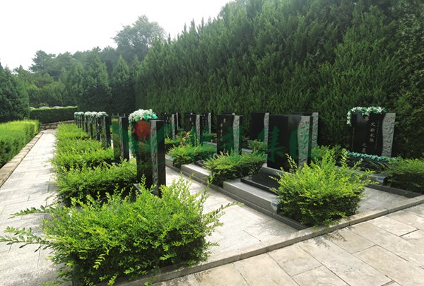 AG真人国际(中国)官方网站