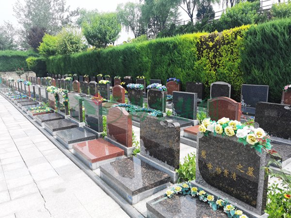 AG真人国际(中国)官方网站