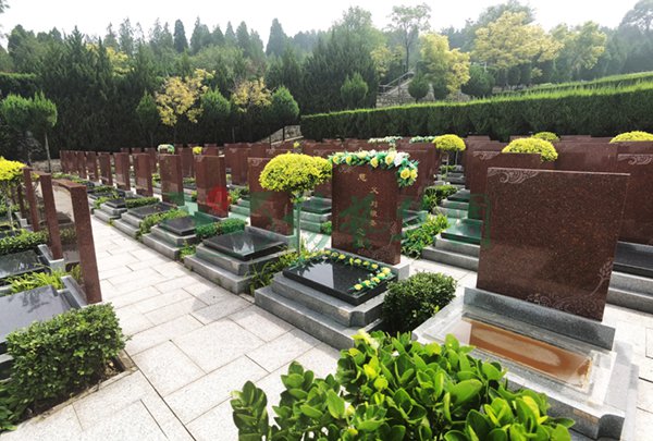 AG真人国际(中国)官方网站