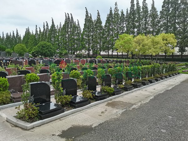 AG真人国际(中国)官方网站