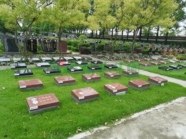 AG真人国际(中国)官方网站