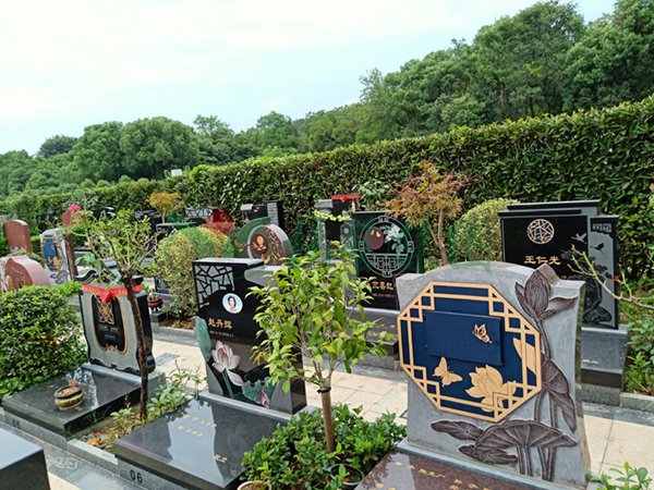 AG真人国际(中国)官方网站