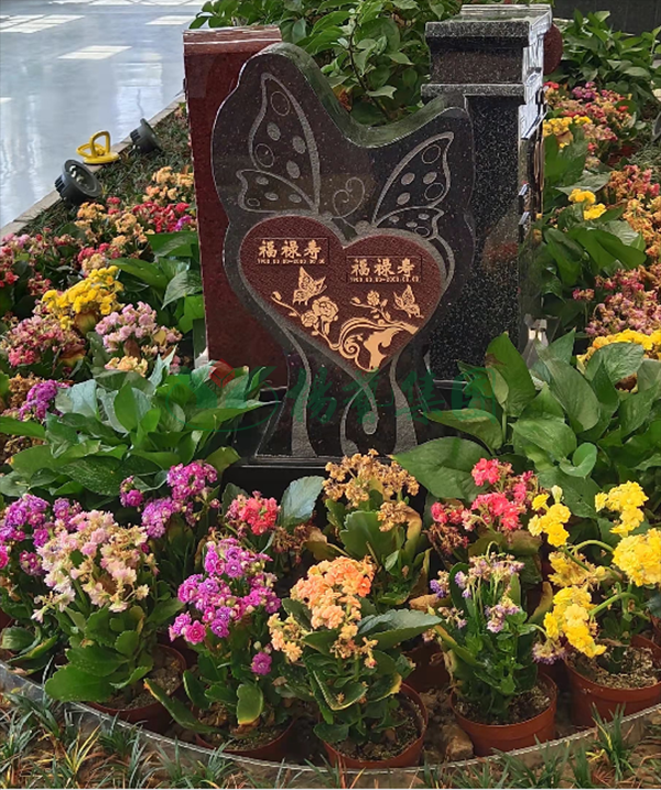 AG真人国际(中国)官方网站