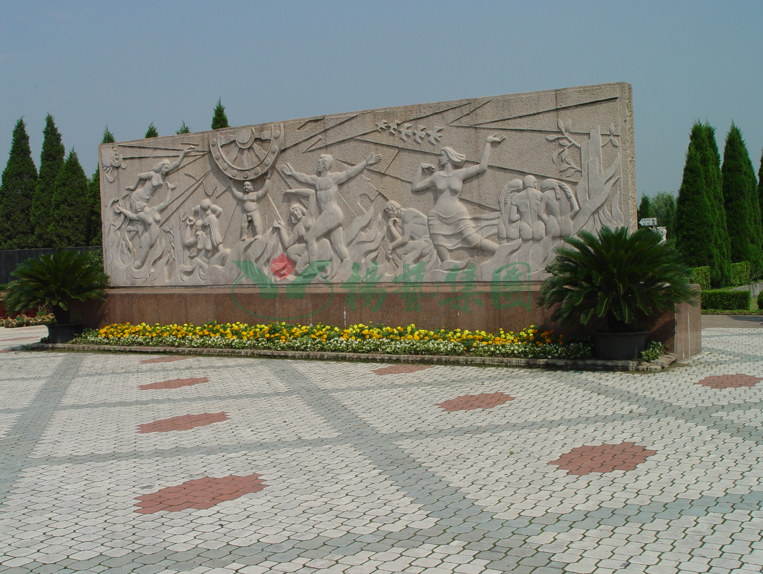 AG真人国际(中国)官方网站