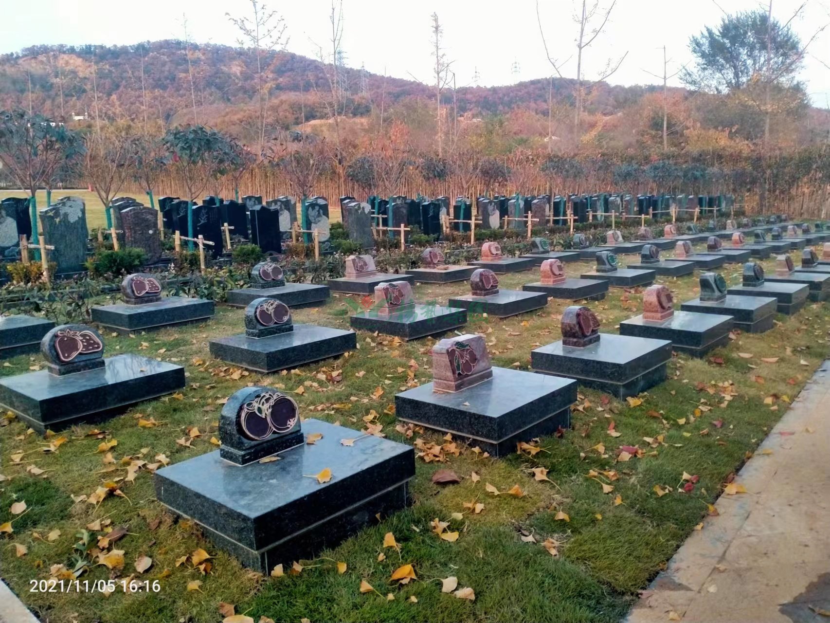 AG真人国际(中国)官方网站