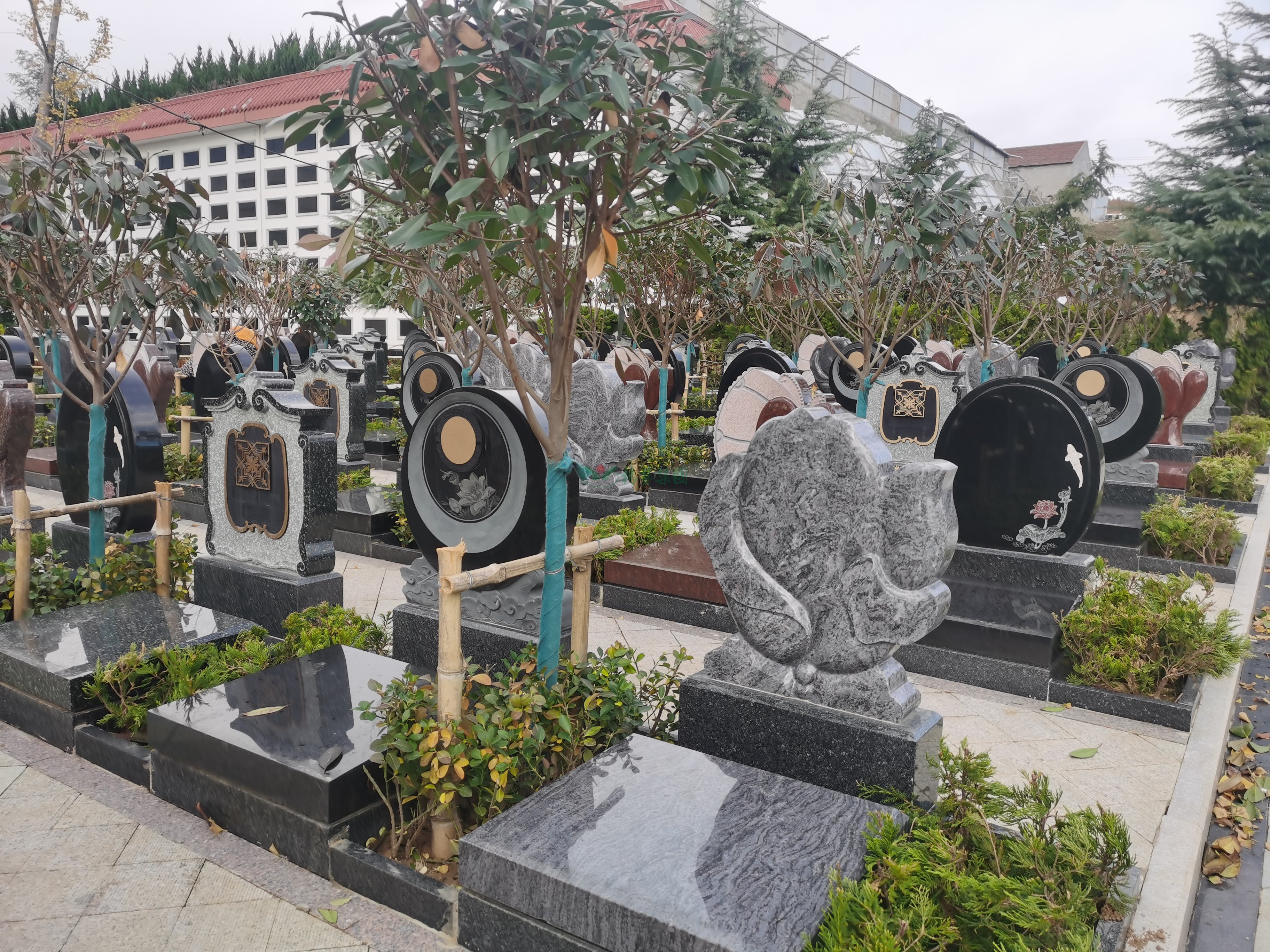 AG真人国际(中国)官方网站