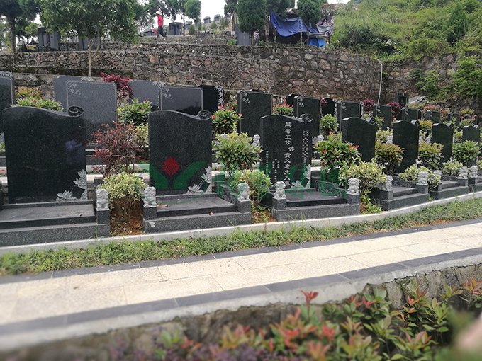 AG真人国际(中国)官方网站