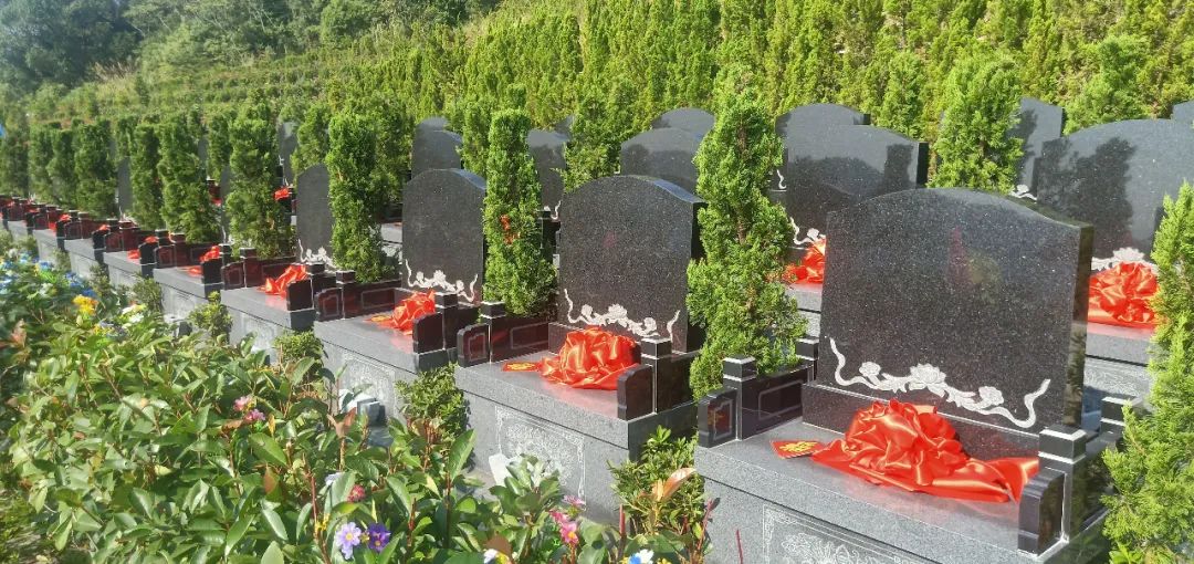 AG真人国际(中国)官方网站