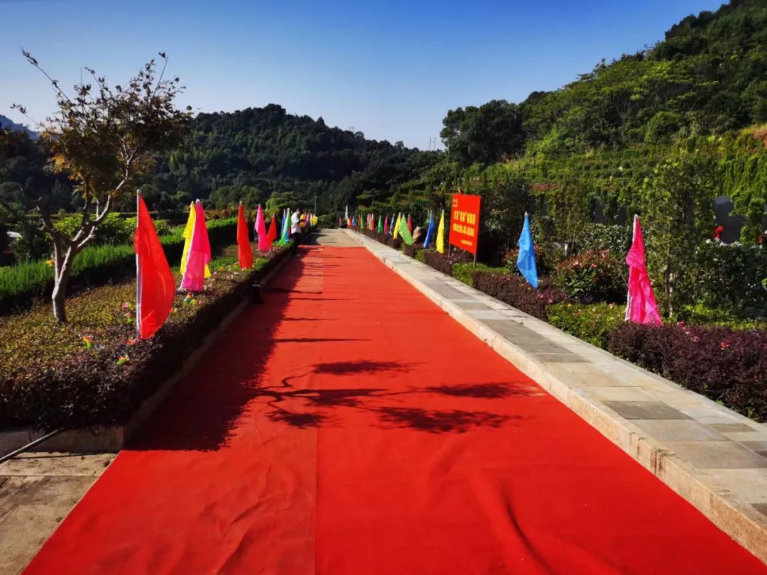 AG真人国际(中国)官方网站