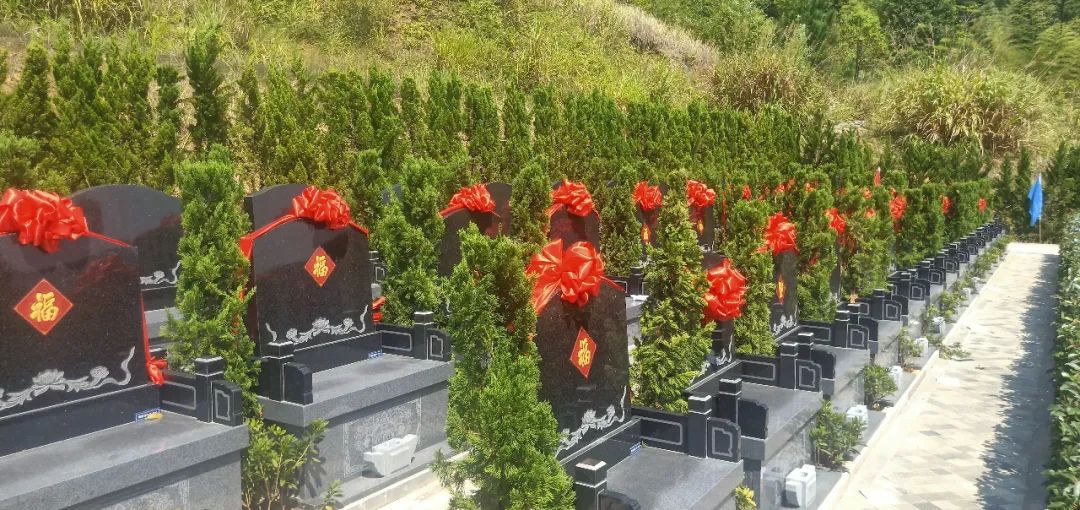 AG真人国际(中国)官方网站