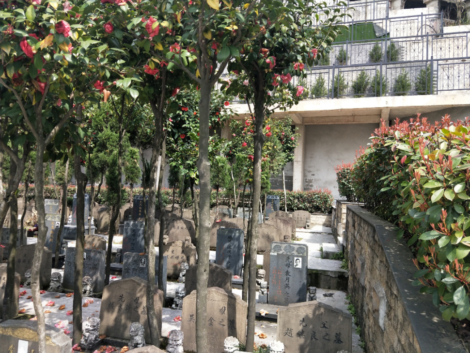 AG真人国际(中国)官方网站