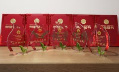 “ag真人国际杯”浙江省节地生态埋葬设计作品奖