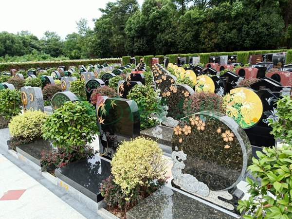 AG真人国际(中国)官方网站