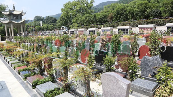 AG真人国际(中国)官方网站