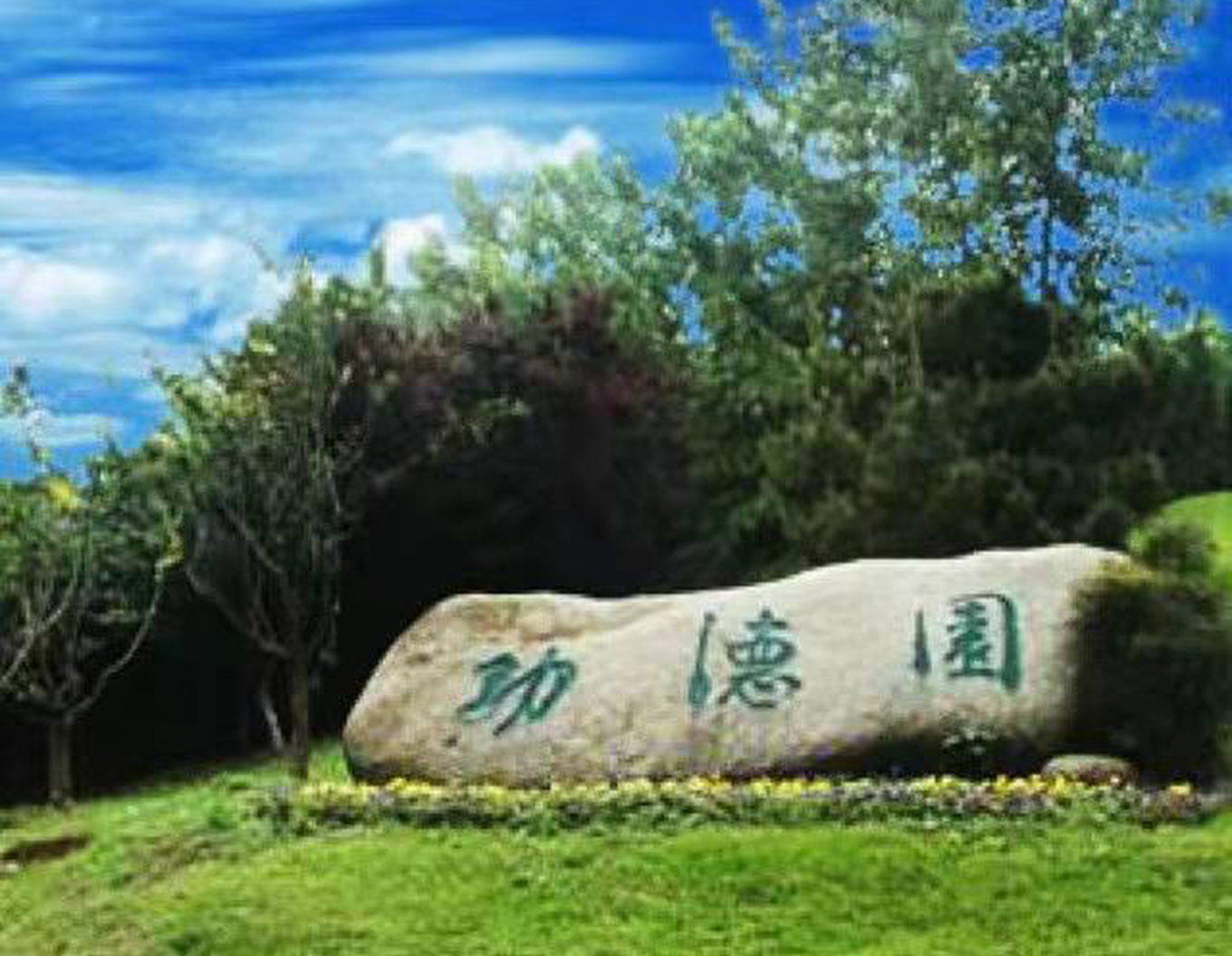 AG真人国际(中国)官方网站
