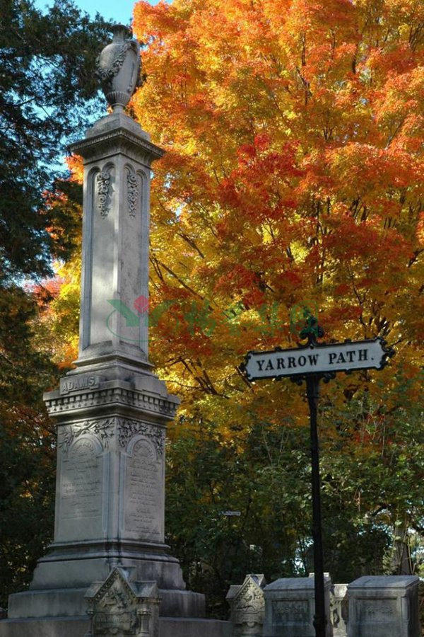 AG真人国际(中国)官方网站