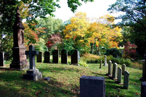 AG真人国际(中国)官方网站