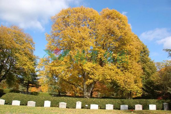 AG真人国际(中国)官方网站