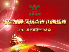 直击ag真人国际年中会|转型生长 团结奋进 再创绚烂