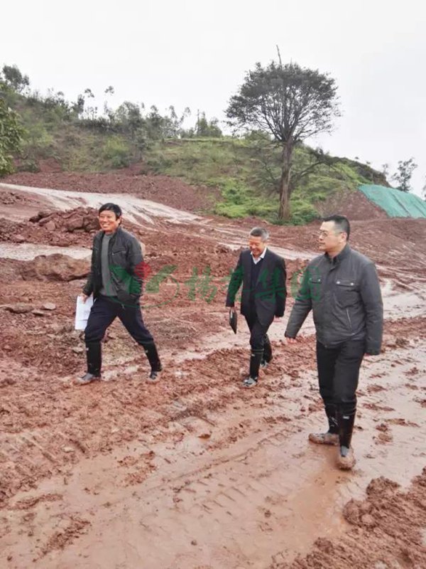 AG真人国际(中国)官方网站